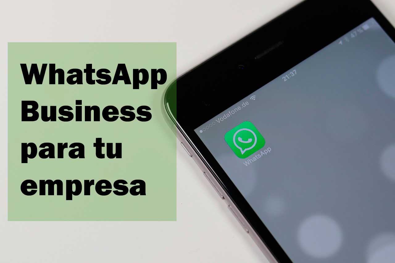 WhatsApp Business: what it can contribute to your company